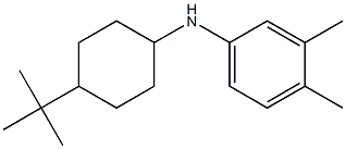 N-(4-tert-butylcyclohexyl)-3,4-dimethylaniline Struktur