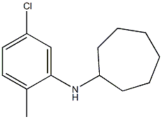 N-(5-chloro-2-methylphenyl)cycloheptanamine Struktur