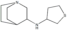 N-(thiolan-3-yl)-1-azabicyclo[2.2.2]octan-3-amine Struktur