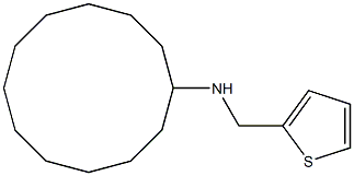 N-(thiophen-2-ylmethyl)cyclododecanamine Struktur