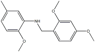 N-[(2,4-dimethoxyphenyl)methyl]-2-methoxy-5-methylaniline Struktur