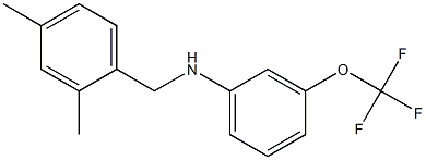 N-[(2,4-dimethylphenyl)methyl]-3-(trifluoromethoxy)aniline Struktur