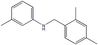 N-[(2,4-dimethylphenyl)methyl]-3-methylaniline Struktur