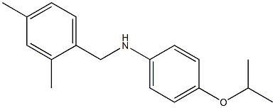 N-[(2,4-dimethylphenyl)methyl]-4-(propan-2-yloxy)aniline Struktur