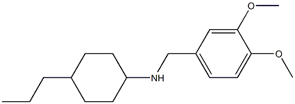 N-[(3,4-dimethoxyphenyl)methyl]-4-propylcyclohexan-1-amine Struktur