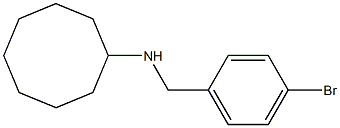 N-[(4-bromophenyl)methyl]cyclooctanamine Struktur