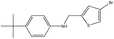 N-[(4-bromothiophen-2-yl)methyl]-4-tert-butylaniline Struktur