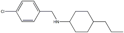 N-[(4-chlorophenyl)methyl]-4-propylcyclohexan-1-amine Struktur