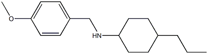 N-[(4-methoxyphenyl)methyl]-4-propylcyclohexan-1-amine Struktur