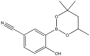 4-Hydroxy-3-(4,4,6-trimethyl-1,3,2-dioxaborinan-2-yl)benzonitrile Struktur