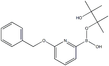 6-(benzyloxy)pyridin-2-ylboronic acid pinacol ester Struktur