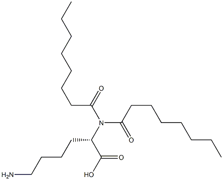 dioctanoyl lysine Struktur