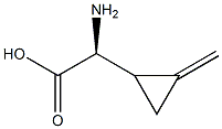 ALPHA-(METHYLENECYCLOPROPYL)GLYCINE Struktur