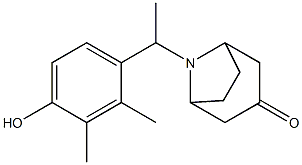 8-[1-(4-HYDROXY-2,3-DIMETHYL-PHENYL)-ETHYL]-8-AZA-BICYCLO[3.2.1]OCTAN-3-ONE Struktur