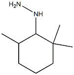 1-(2,2,6-trimethylcyclohexyl)hydrazine Struktur