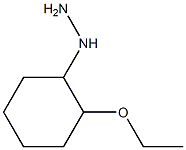 1-(2-ethoxycyclohexyl)hydrazine Struktur