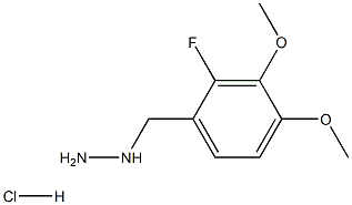 1-(2-fluoro-3,4-dimethoxybenzyl)hydrazine hydrochloride Struktur