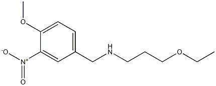 (3-ethoxypropyl)[(4-methoxy-3-nitrophenyl)methyl]amine Struktur