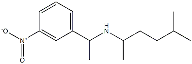 (5-methylhexan-2-yl)[1-(3-nitrophenyl)ethyl]amine Struktur