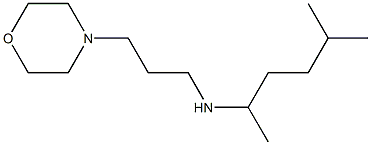 (5-methylhexan-2-yl)[3-(morpholin-4-yl)propyl]amine Struktur