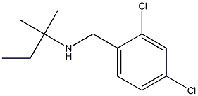 [(2,4-dichlorophenyl)methyl](2-methylbutan-2-yl)amine Struktur