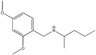 [(2,4-dimethoxyphenyl)methyl](pentan-2-yl)amine Struktur