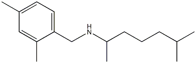 [(2,4-dimethylphenyl)methyl](6-methylheptan-2-yl)amine Struktur