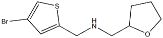 [(4-bromothiophen-2-yl)methyl](oxolan-2-ylmethyl)amine Struktur