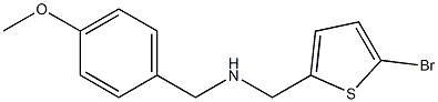 [(5-bromothiophen-2-yl)methyl][(4-methoxyphenyl)methyl]amine Struktur