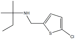 [(5-chlorothiophen-2-yl)methyl](2-methylbutan-2-yl)amine Struktur