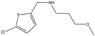 [(5-chlorothiophen-2-yl)methyl](3-methoxypropyl)amine Struktur