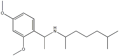 [1-(2,4-dimethoxyphenyl)ethyl](6-methylheptan-2-yl)amine Struktur