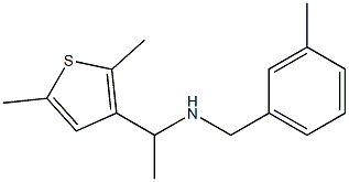 [1-(2,5-dimethylthiophen-3-yl)ethyl][(3-methylphenyl)methyl]amine Struktur