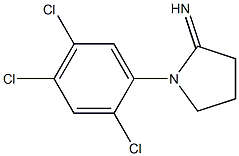 1-(2,4,5-trichlorophenyl)pyrrolidin-2-imine Struktur