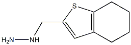 1-(4,5,6,7-tetrahydro-1-benzothiophen-2-ylmethyl)hydrazine Struktur