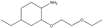 2-(2-ethoxyethoxy)-4-ethylcyclohexan-1-amine Struktur