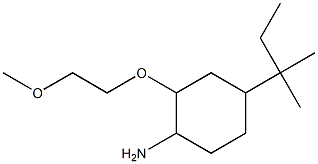 2-(2-methoxyethoxy)-4-(2-methylbutan-2-yl)cyclohexan-1-amine Struktur