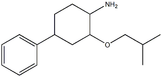 2-(2-methylpropoxy)-4-phenylcyclohexan-1-amine Struktur