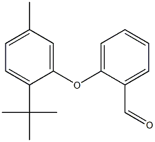 2-(2-tert-butyl-5-methylphenoxy)benzaldehyde Struktur