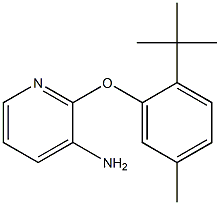 2-(2-tert-butyl-5-methylphenoxy)pyridin-3-amine Struktur