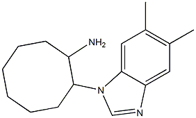 2-(5,6-dimethyl-1H-1,3-benzodiazol-1-yl)cyclooctan-1-amine Struktur