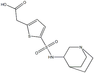 2-(5-{1-azabicyclo[2.2.2]octan-3-ylsulfamoyl}thiophen-2-yl)acetic acid Struktur