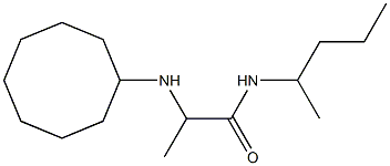 2-(cyclooctylamino)-N-(pentan-2-yl)propanamide Structure