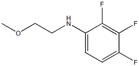 2,3,4-trifluoro-N-(2-methoxyethyl)aniline Struktur