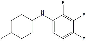 2,3,4-trifluoro-N-(4-methylcyclohexyl)aniline Struktur