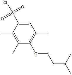 2,3,5-trimethyl-4-(3-methylbutoxy)benzene-1-sulfonyl chloride Struktur