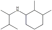 2,3-dimethyl-N-(3-methylbutan-2-yl)cyclohexan-1-amine Struktur