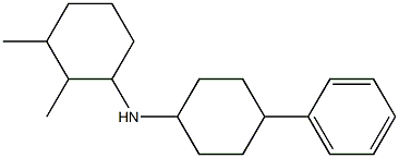 2,3-dimethyl-N-(4-phenylcyclohexyl)cyclohexan-1-amine Struktur