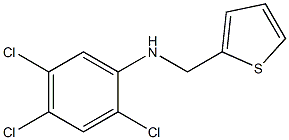 2,4,5-trichloro-N-(thiophen-2-ylmethyl)aniline Struktur