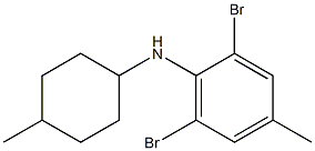 2,6-dibromo-4-methyl-N-(4-methylcyclohexyl)aniline Struktur